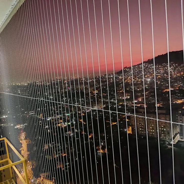 Window Protection Safety Net